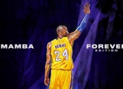 开云官网-文班亚马爆发难救主，太阳三巨头强势灼伤老鹰