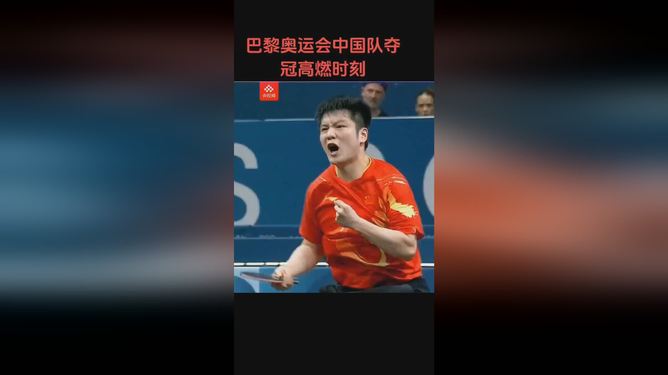 包含法国乒乓球队血洗瑞典乒乓球队，樊振东绝境逆转的词条