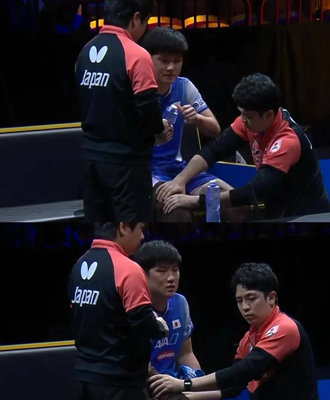 法国乒乓球队血洗瑞典乒乓球队,张本智和关键制胜的简单介绍 法国乒乓球队血洗瑞典乒乓球队,张本智和关键制胜的简单介绍