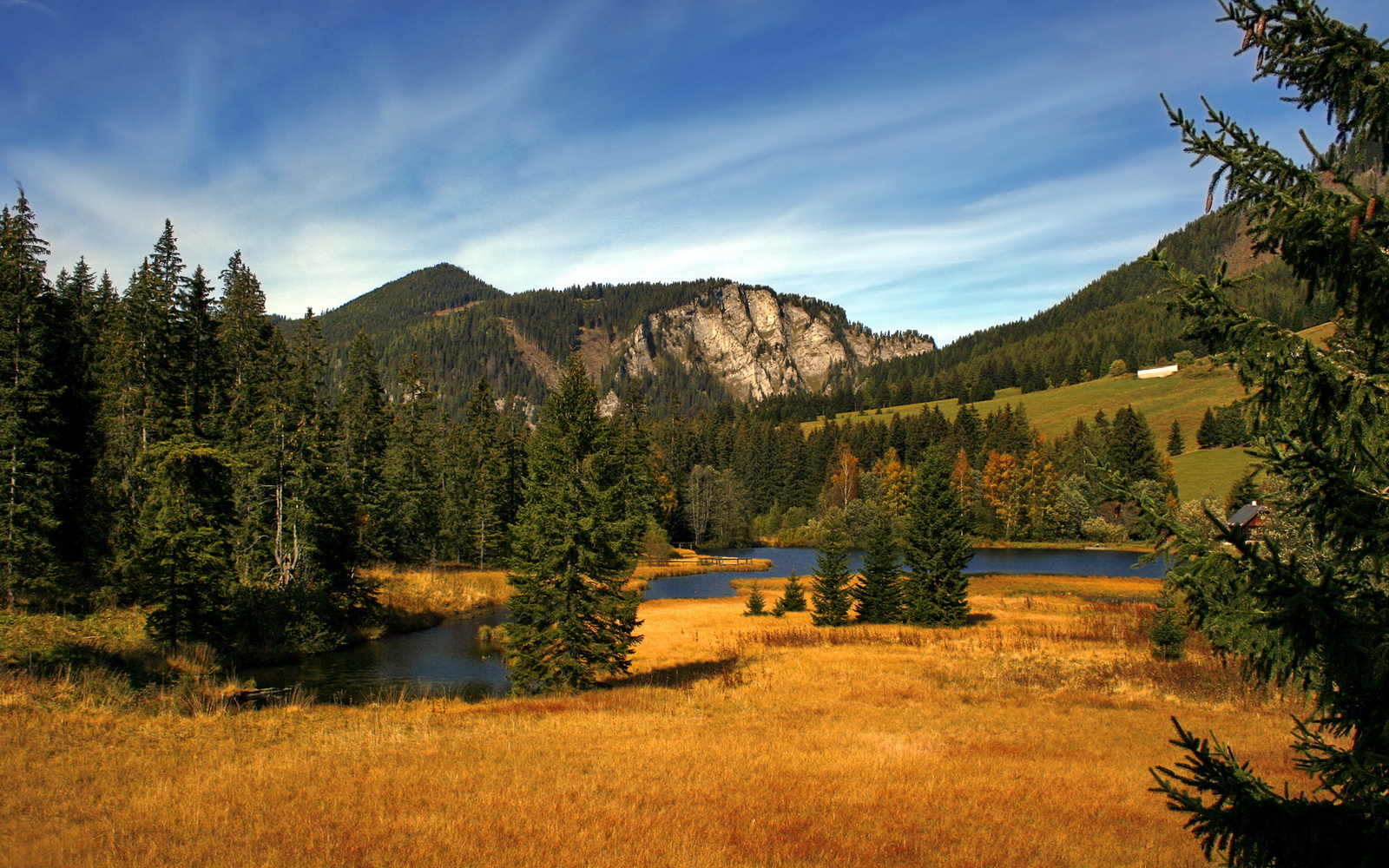 绿军血脉与纽约心跳,乔治的不软时刻如何重写宿命