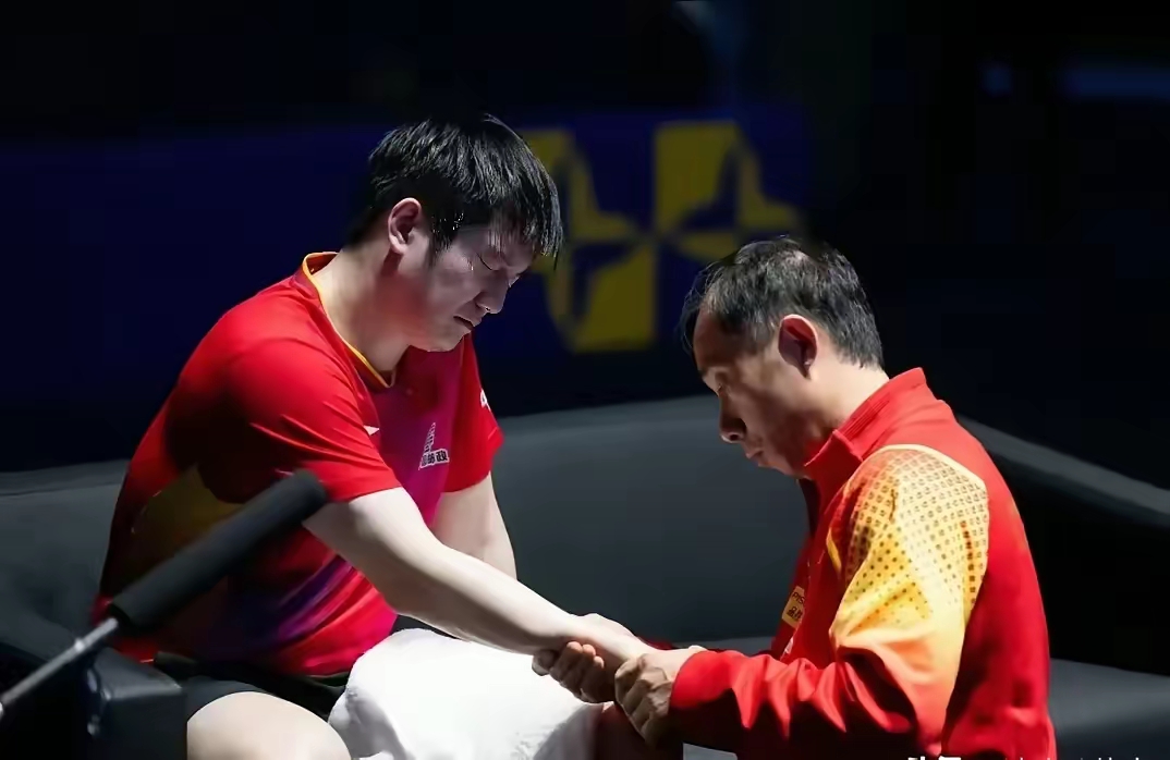 瑞典队鏖战韩国队，樊振东带队取胜