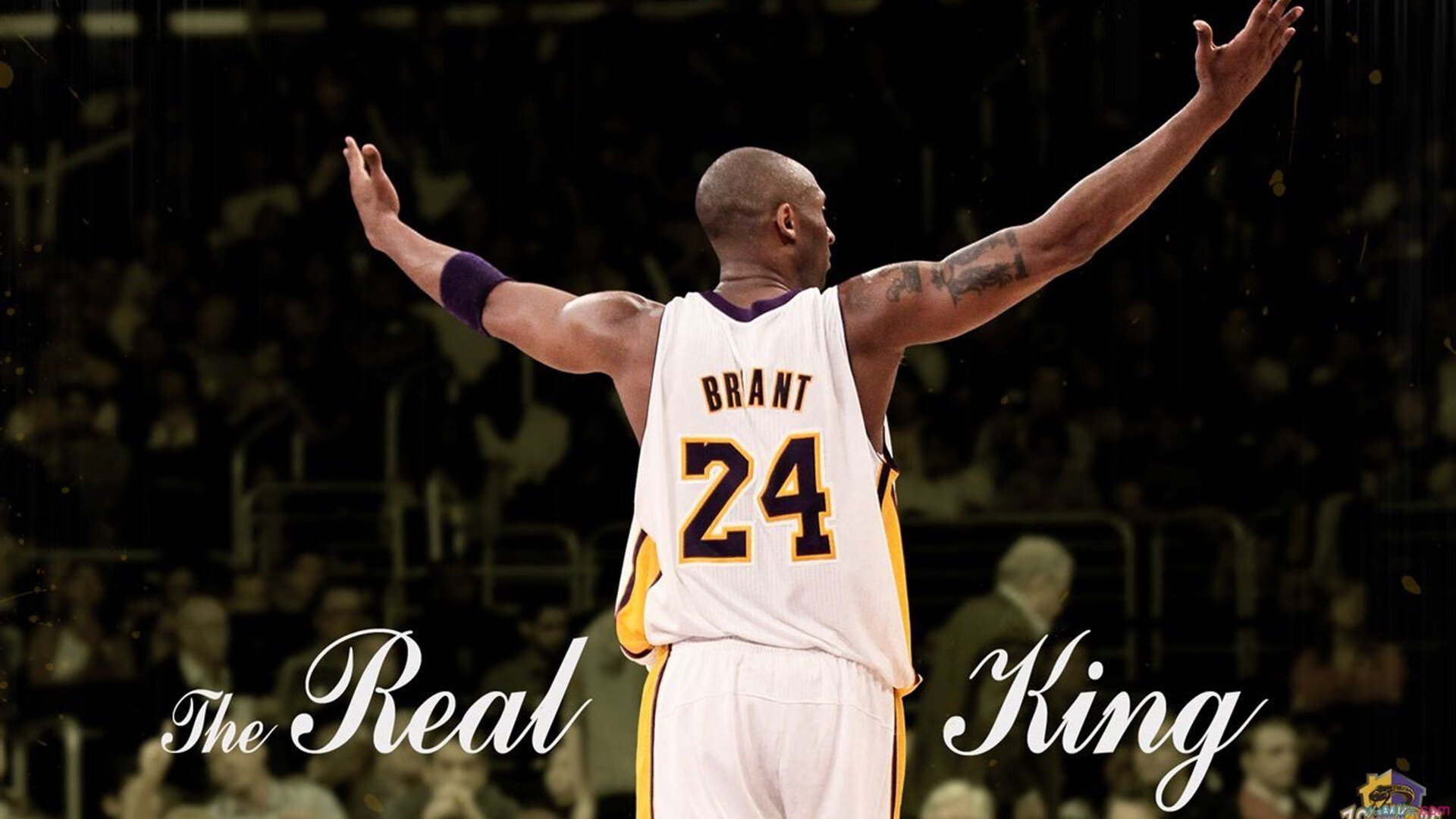 绝境反击,索伯逆袭威廉姆斯,阿隆索不老传奇点燃赛场